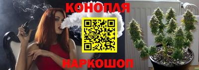 шишки Жуковский