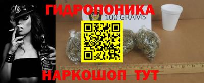 шишки Жуковский