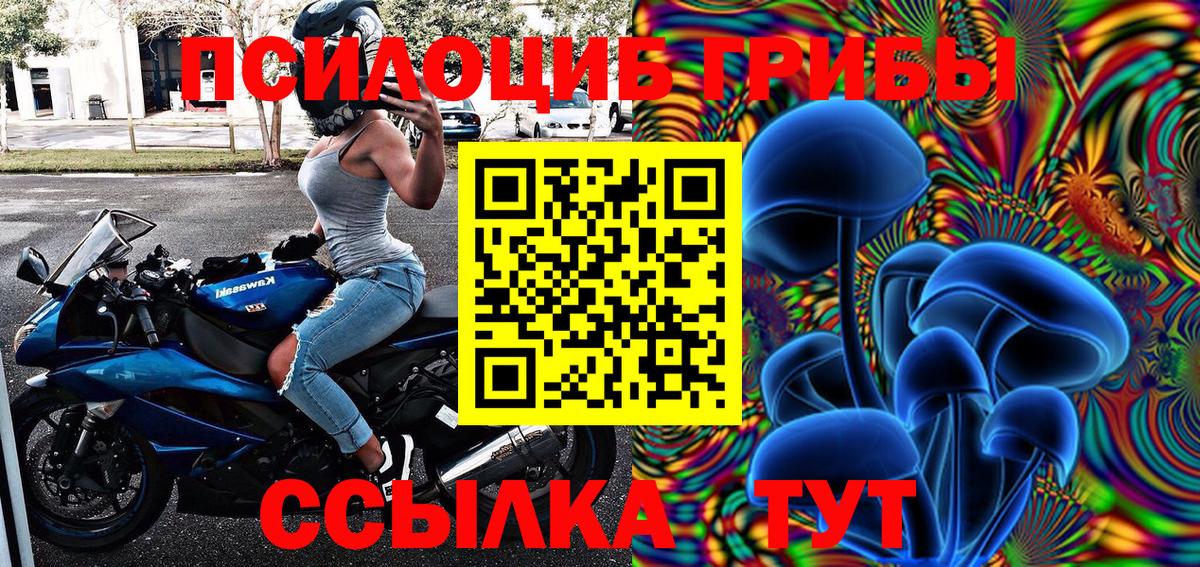 Псилоцибиновые грибы Magic Shrooms  Галлюциногенные грибы Psilocybe  Каменск-Шахтинский  Вход с VPN 